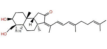 29-Hydroxystelliferin D